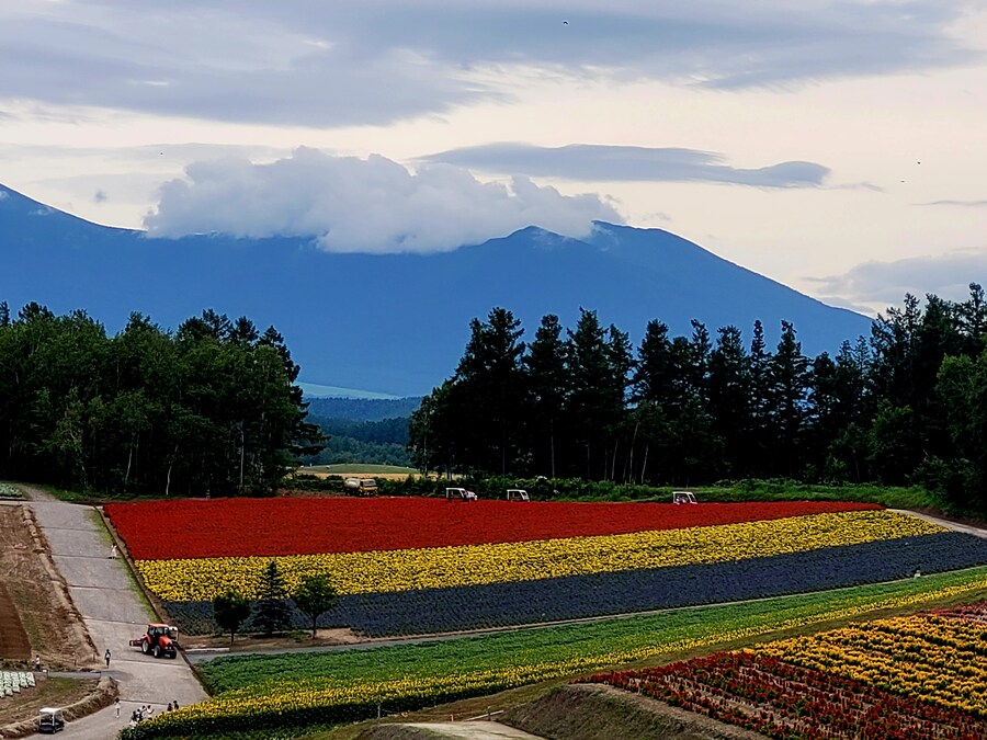 (스압) 5일간의 홋카이도 여행 - 비에이 (3/4)_28.jpg