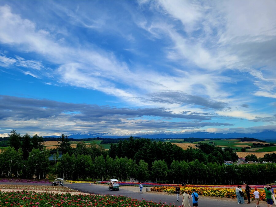 (스압) 5일간의 홋카이도 여행 - 비에이 (3/4)_31.jpg