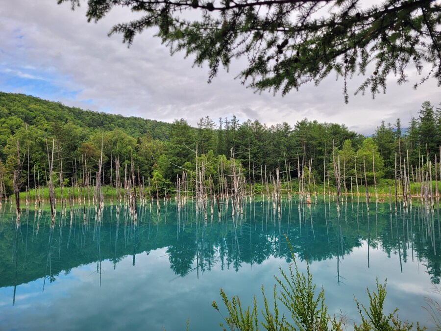 (스압) 5일간의 홋카이도 여행 - 비에이 (3/4)_37.jpg