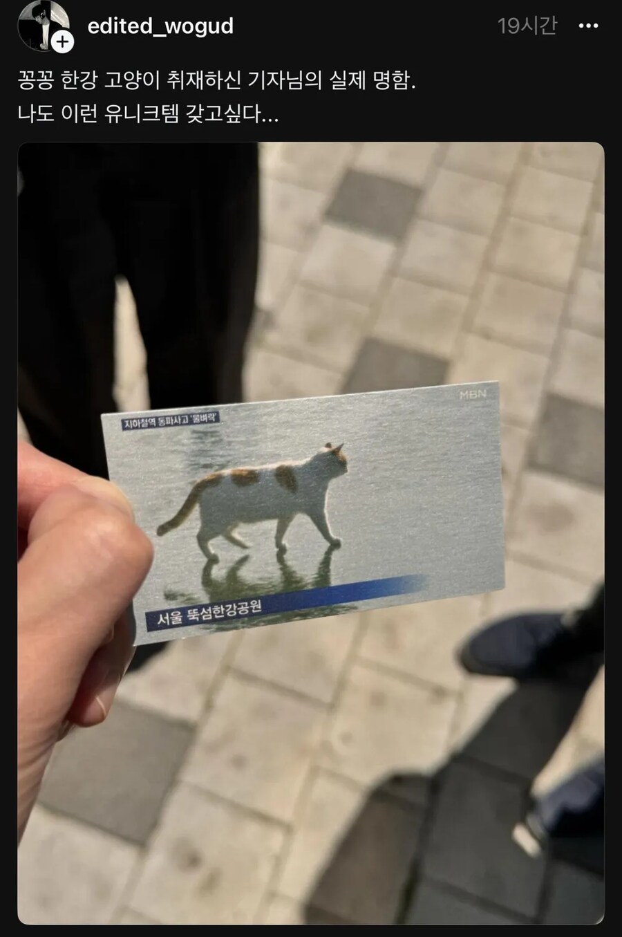 반도의 흔한 기자 명함.jpg_1.png