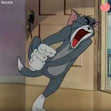 알사람들은 아는 민중에게 퍼져있는 잘못된 동물 상식_1.jpg