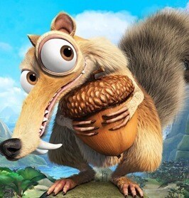 알사람들은 아는 민중에게 퍼져있는 잘못된 동물 상식_5.jpg