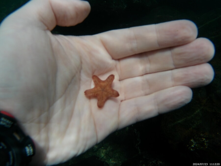 제주도에서 스노클링 하고 왔습니다._39.jpg