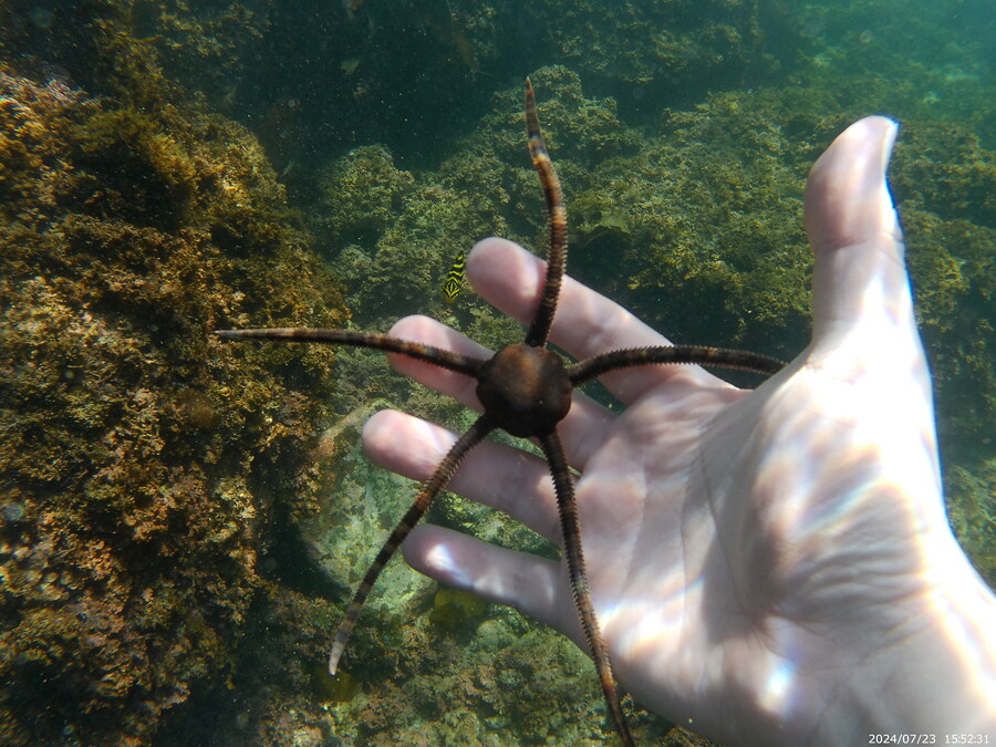 제주도에서 스노클링 하고 왔습니다._42.jpg