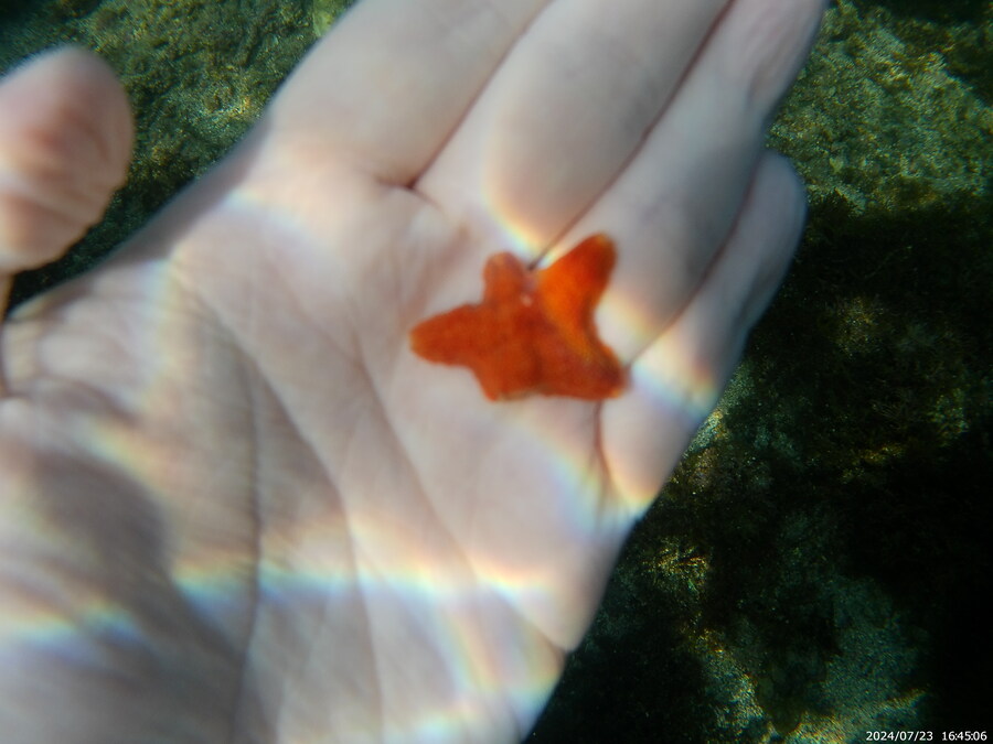 제주도에서 스노클링 하고 왔습니다._45.jpg