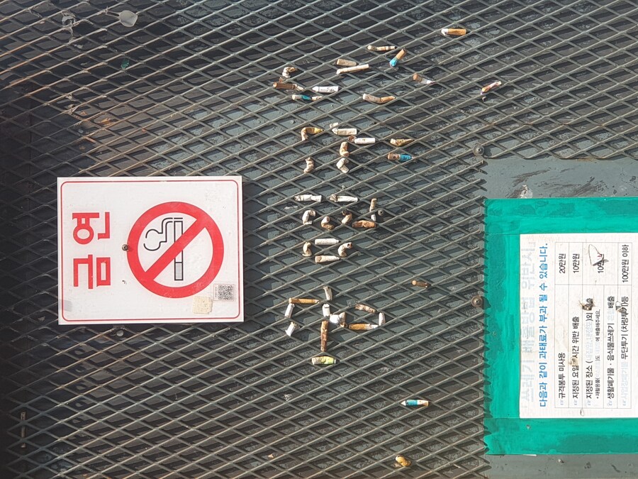 양심출타한 새끼들 특징_1.jpg