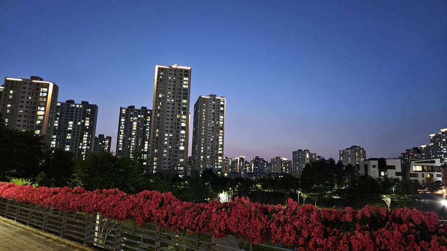 제 산책길 (6km)_4.jpg