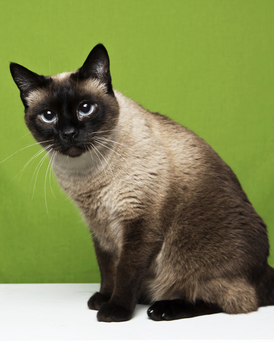 샤인이 보고가세요_5.jpg