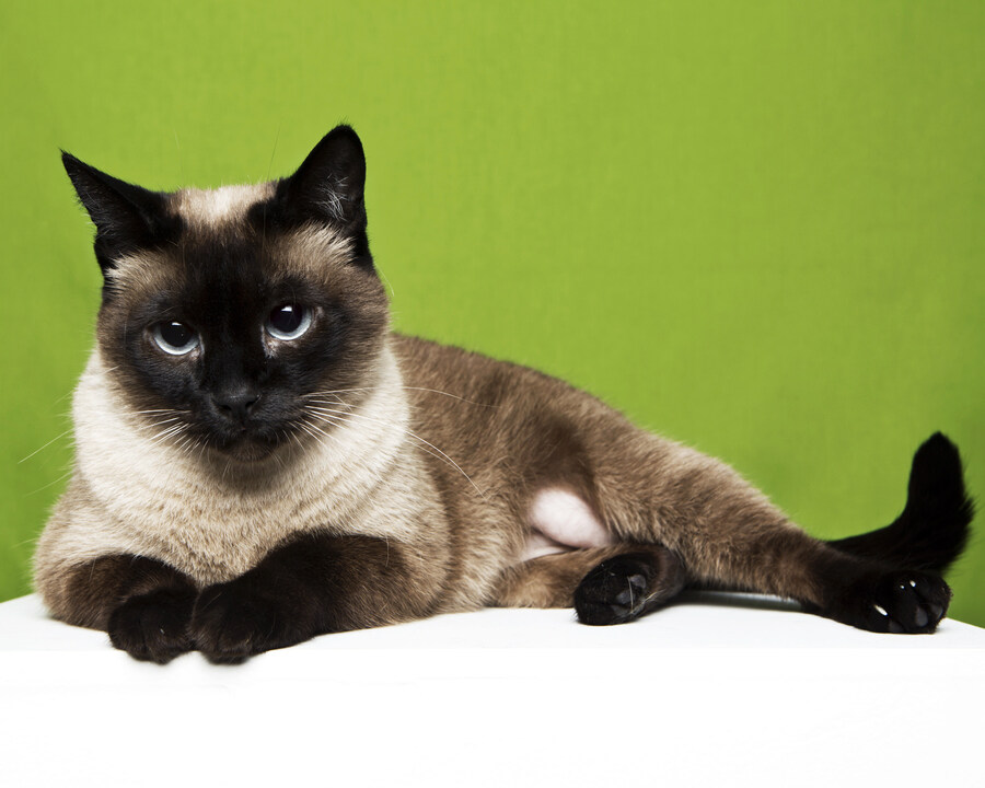 샤인이 보고가세요_6.jpg