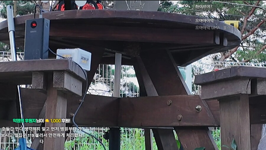 인방) 백평원에서 벌떼에게 습격당한 똘삼_1.png