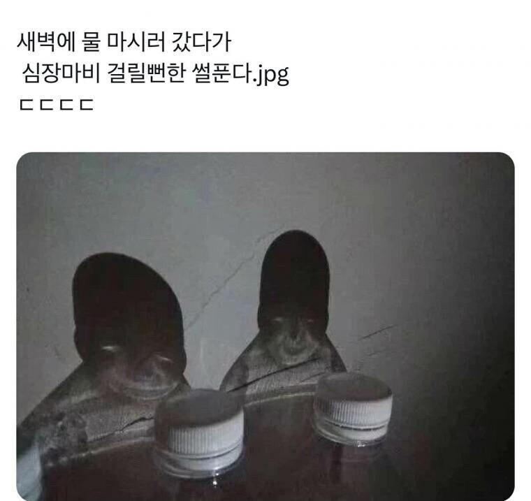 새벽에 물 마시러 갔다 심장마비 걸릴 뻔_1.jpg