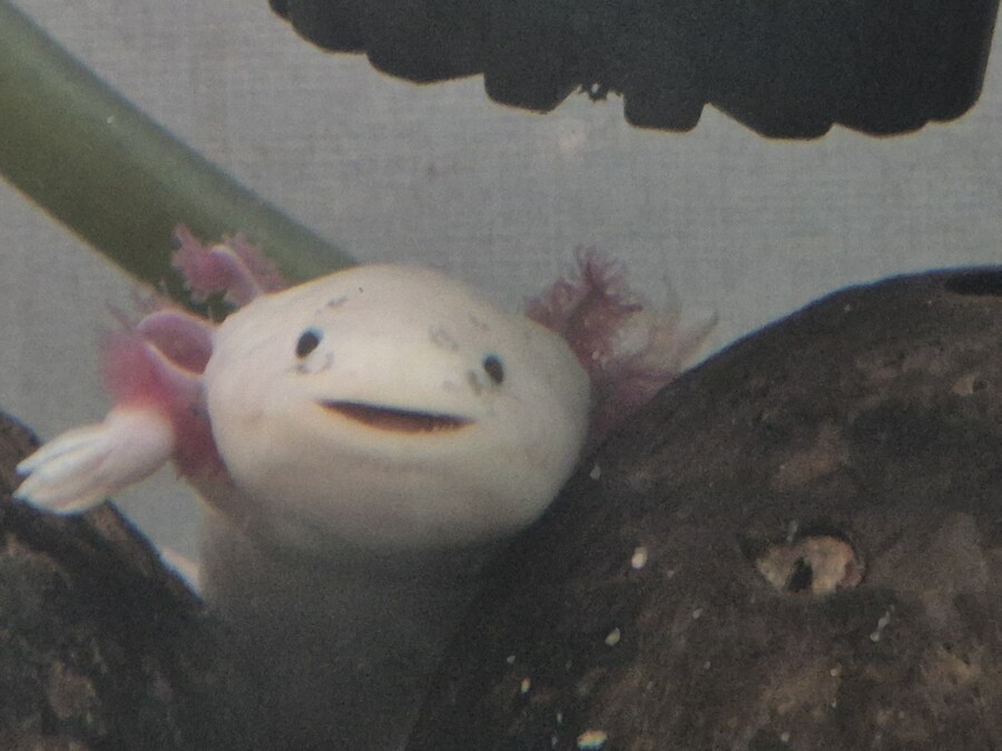 수조)일어나 헌바_1.jpg