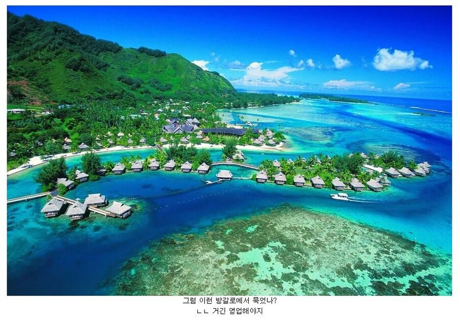 파리올림픽에서 자기네들만 초호화 숙박시설 묵는 선수들.JPG_4.jpg