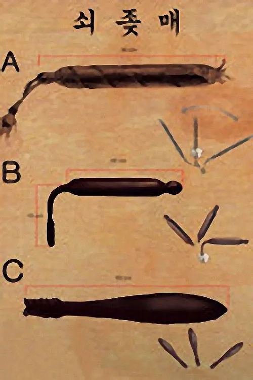 조선시대때 소의 생식기로 만든 무기...쇠ㅈ매..._2.webp