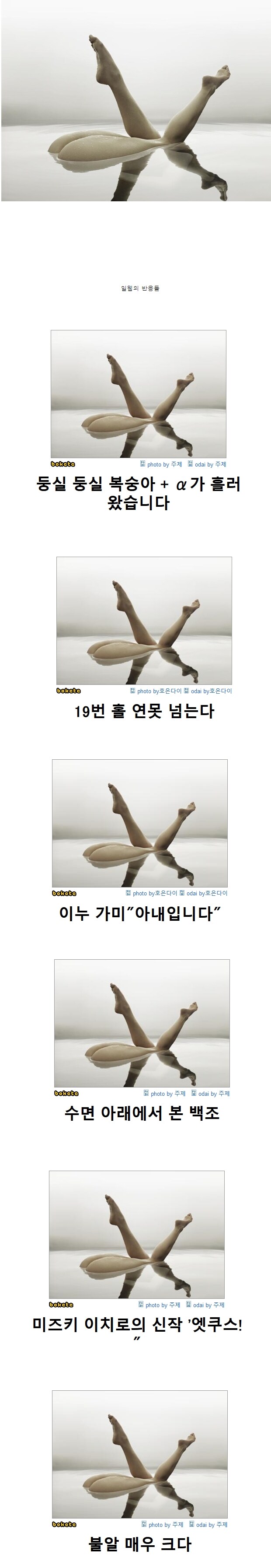 약ㅎ) 일본웹에 올라온 의문의 예술사진과 제목학원_1.jpg