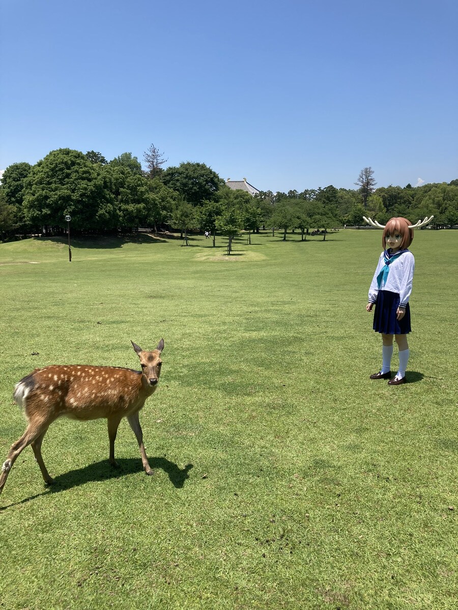 사슴아이) 공식 인형탈을 본 진짜 사슴의 반응_2.jpg