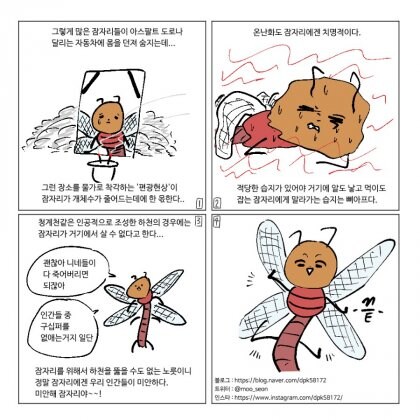 모기가 잠자리만 보면 절망하는 이유.jpg_8.jpg