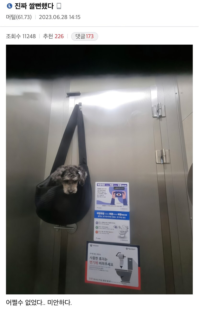 댕댕이랑 산책중 화장실이 급했던 견주_1.jpg