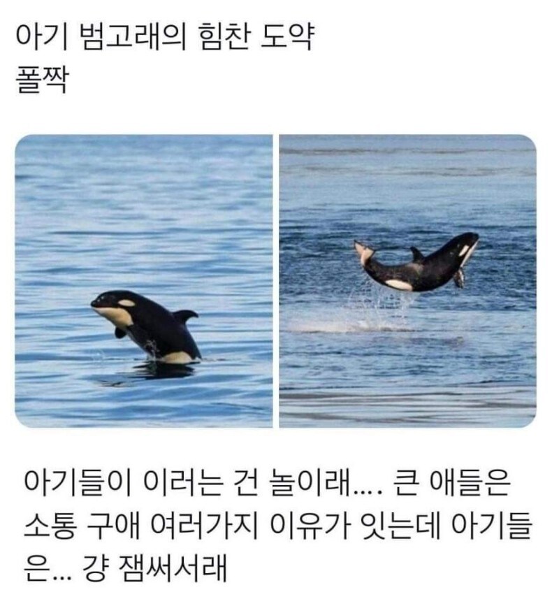 야 나 베스트 가고싶어_7.jpg