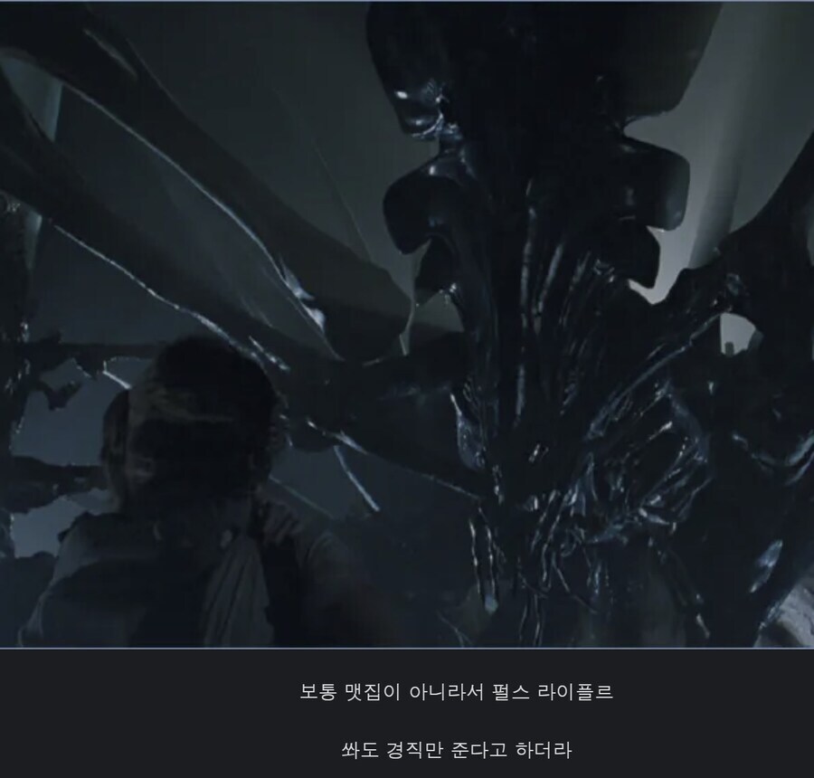 에일리언] 사냥에 총 보다 더 성능좋은 무기류甲._4.jpg