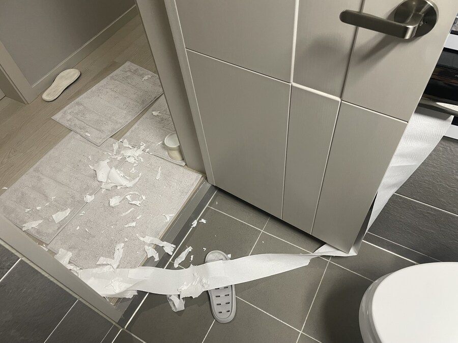 대형사고 친 고양이 루이_17.jpg