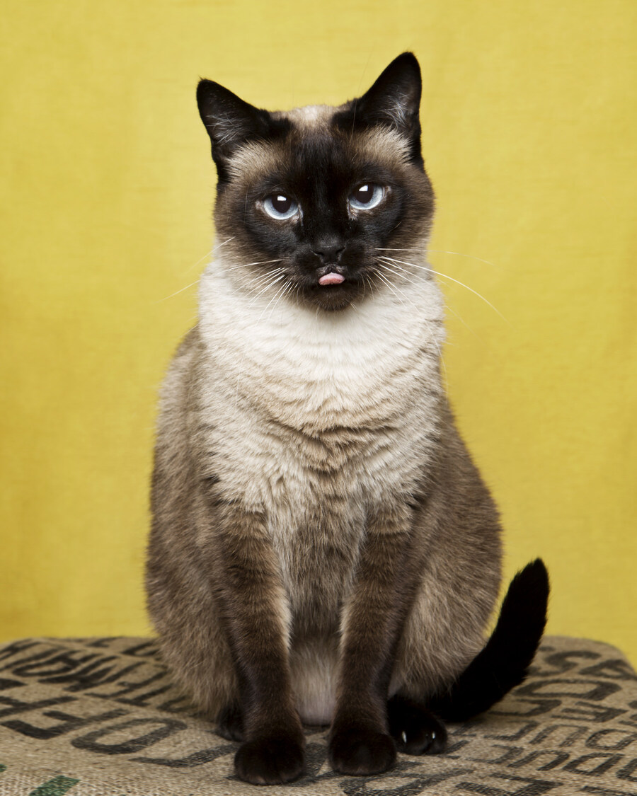 샤인이 보고가세요_2.jpg