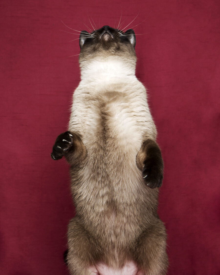 샤인이 보고가세요2_11.jpg