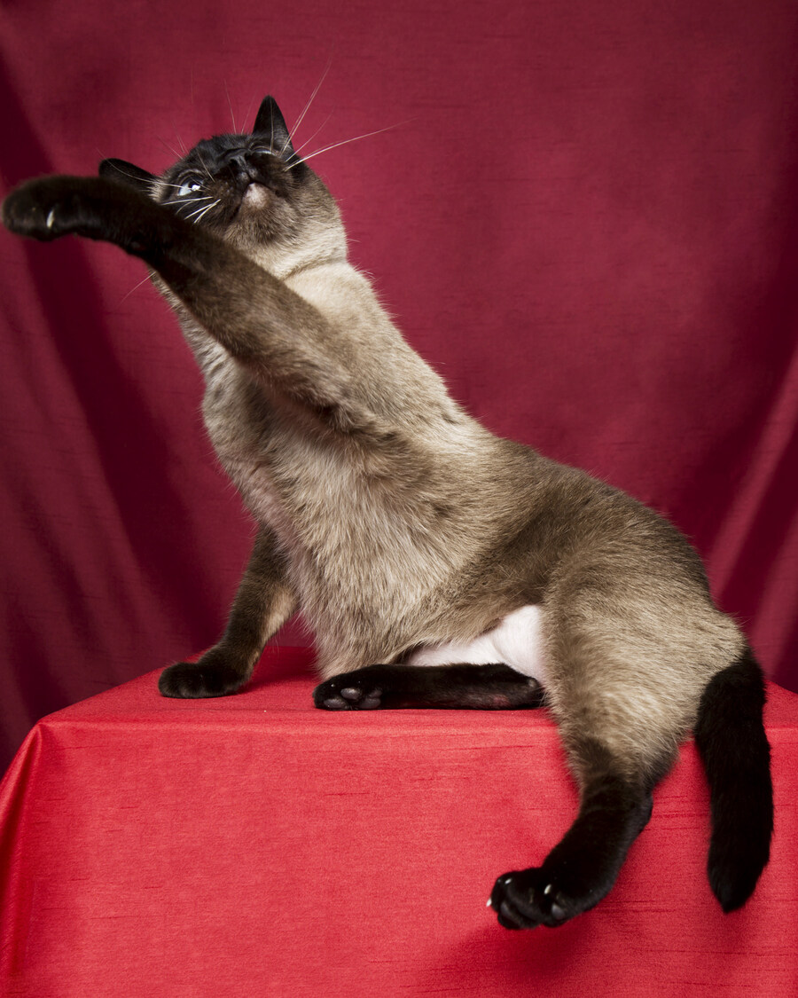 샤인이 보고가세요2_13.jpg