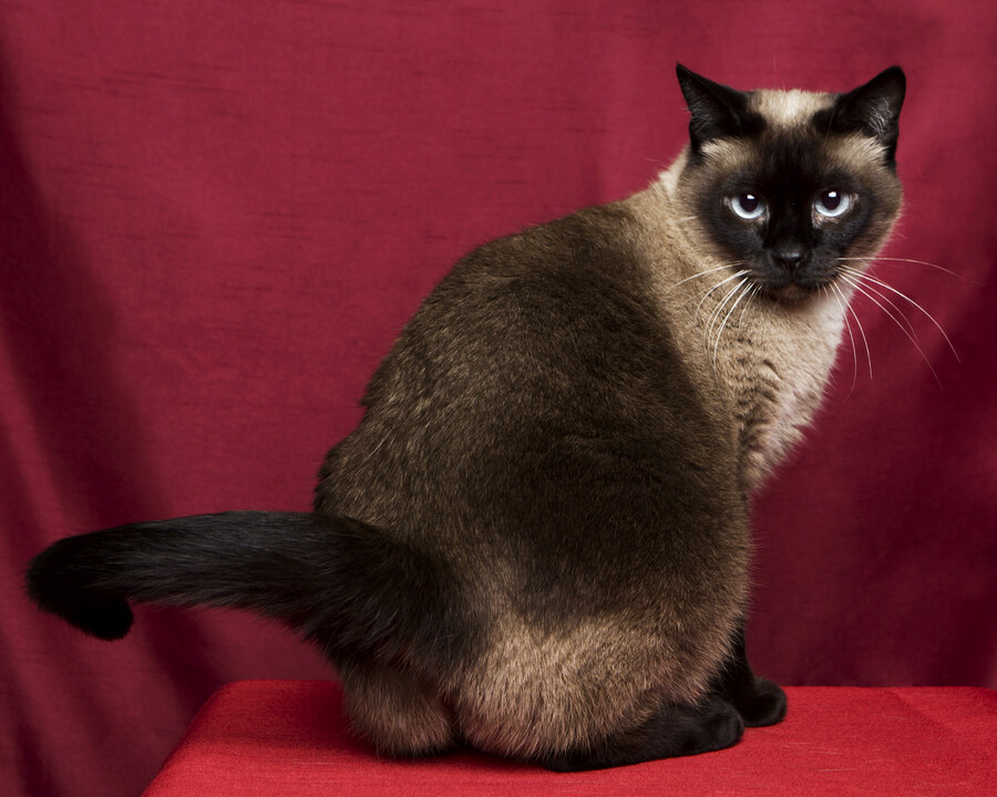 샤인이 보고가세요2_14.jpg