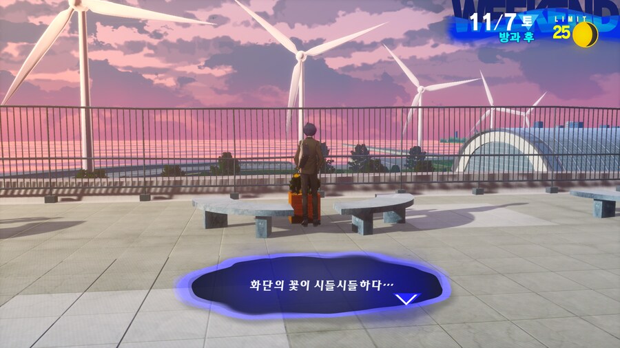 페르소나3 리로드]옥상 화분에 물주기 퀘스트 어떻게 깸?_1.png