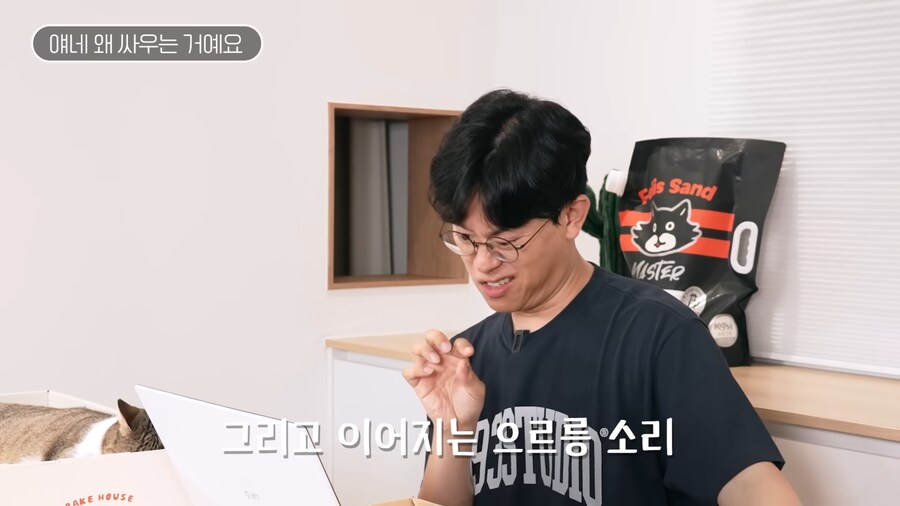 고양이 밈을 본 수의사 반응.jpg_4.png