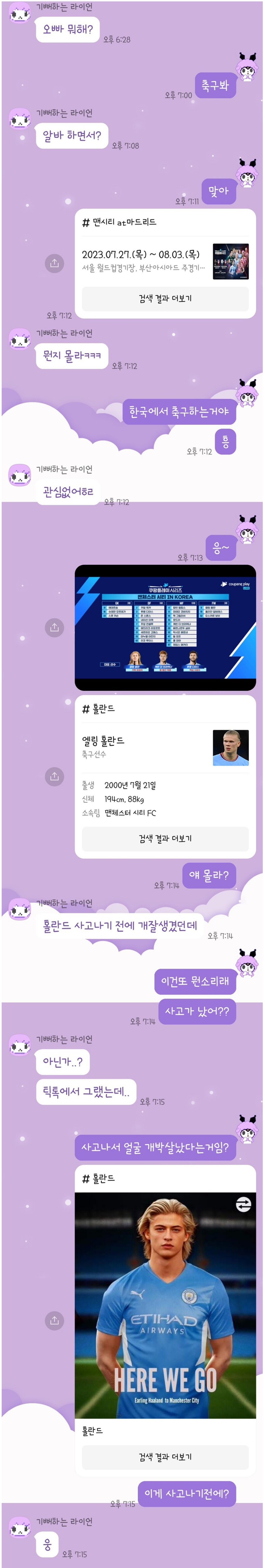 홀란드 사고 났다는데?.jpg_1.jpg