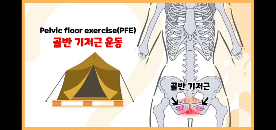 미군에서 체력측정 금지한 운동 2가지.jpg_11.jpg