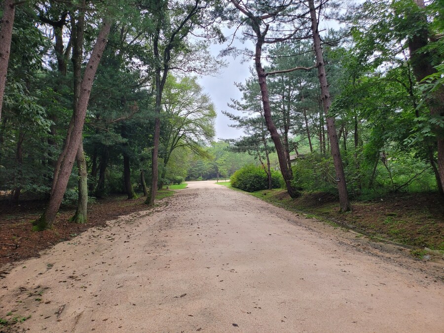 #구리시 동구릉_9.jpg
