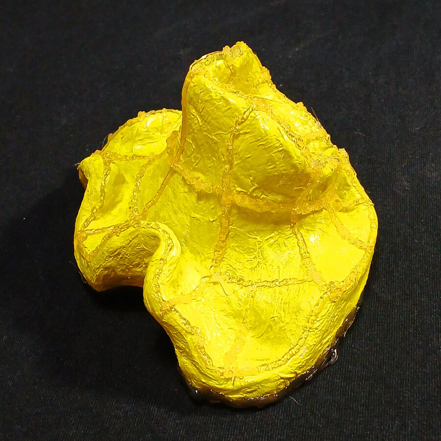 만들기) 헤엄치는 황금 말미잘!_4.jpg