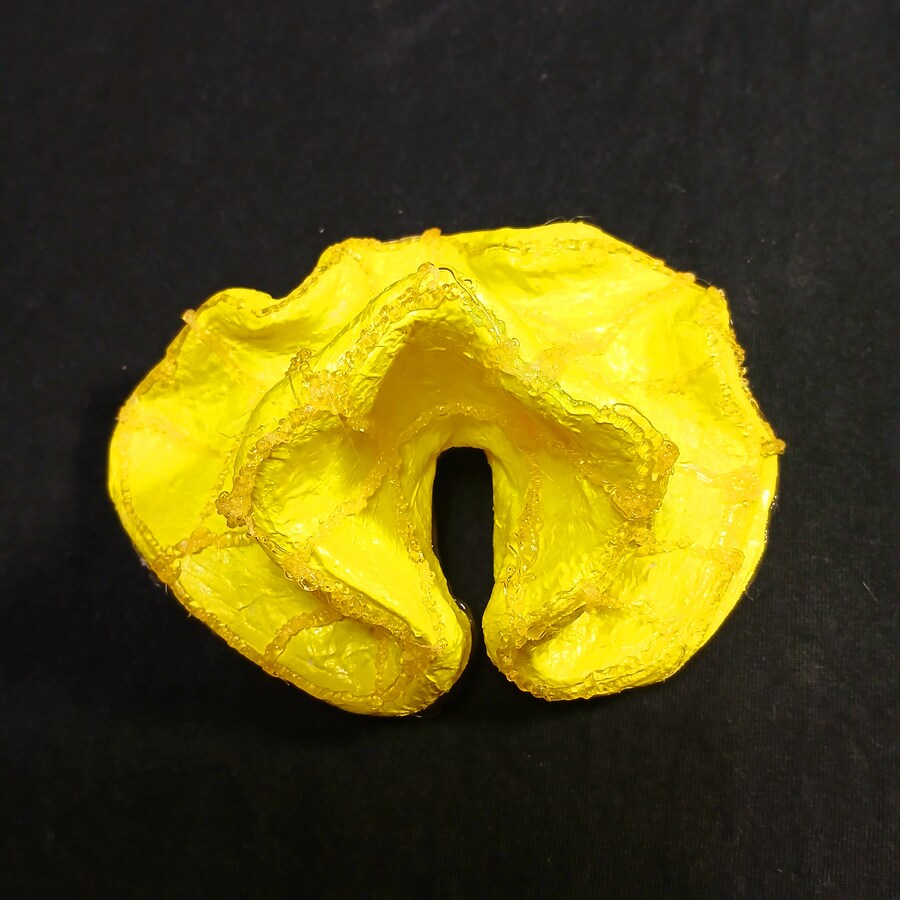 만들기) 헤엄치는 황금 말미잘!_14.jpg