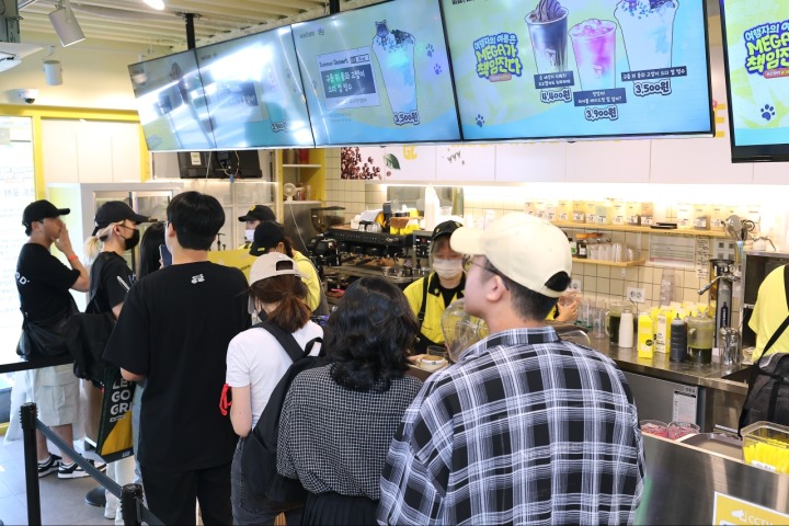 도사컬쳐 이미지
