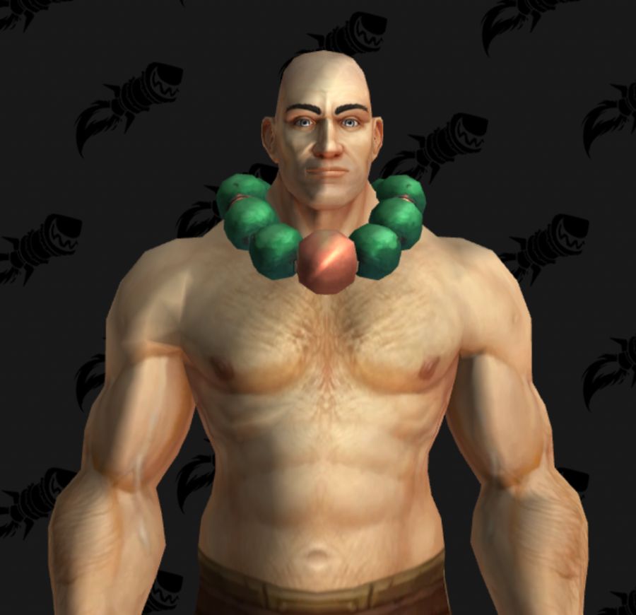 와우 9월의 교역소 아이템 중 공홈에 안올라온 템의 착용 모습_20.png