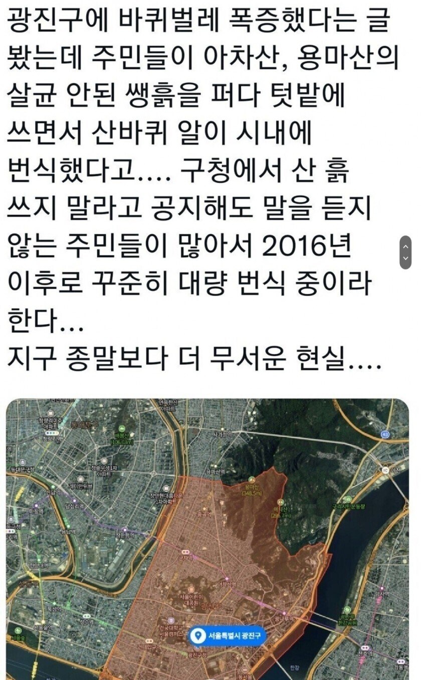 제발 흙은 사서 쓰세요..._6.jpg