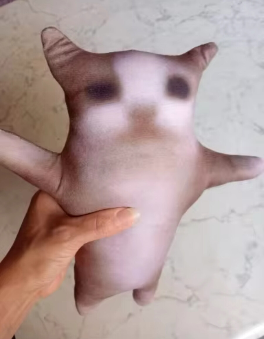 그래픽 버그난거같은 인형_1.jpg