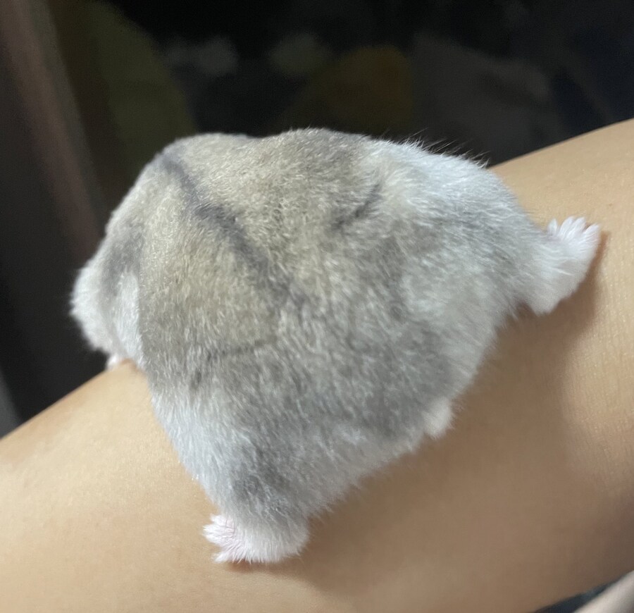 오늘 득템한 엉덩이짤.jpg_2.jpg