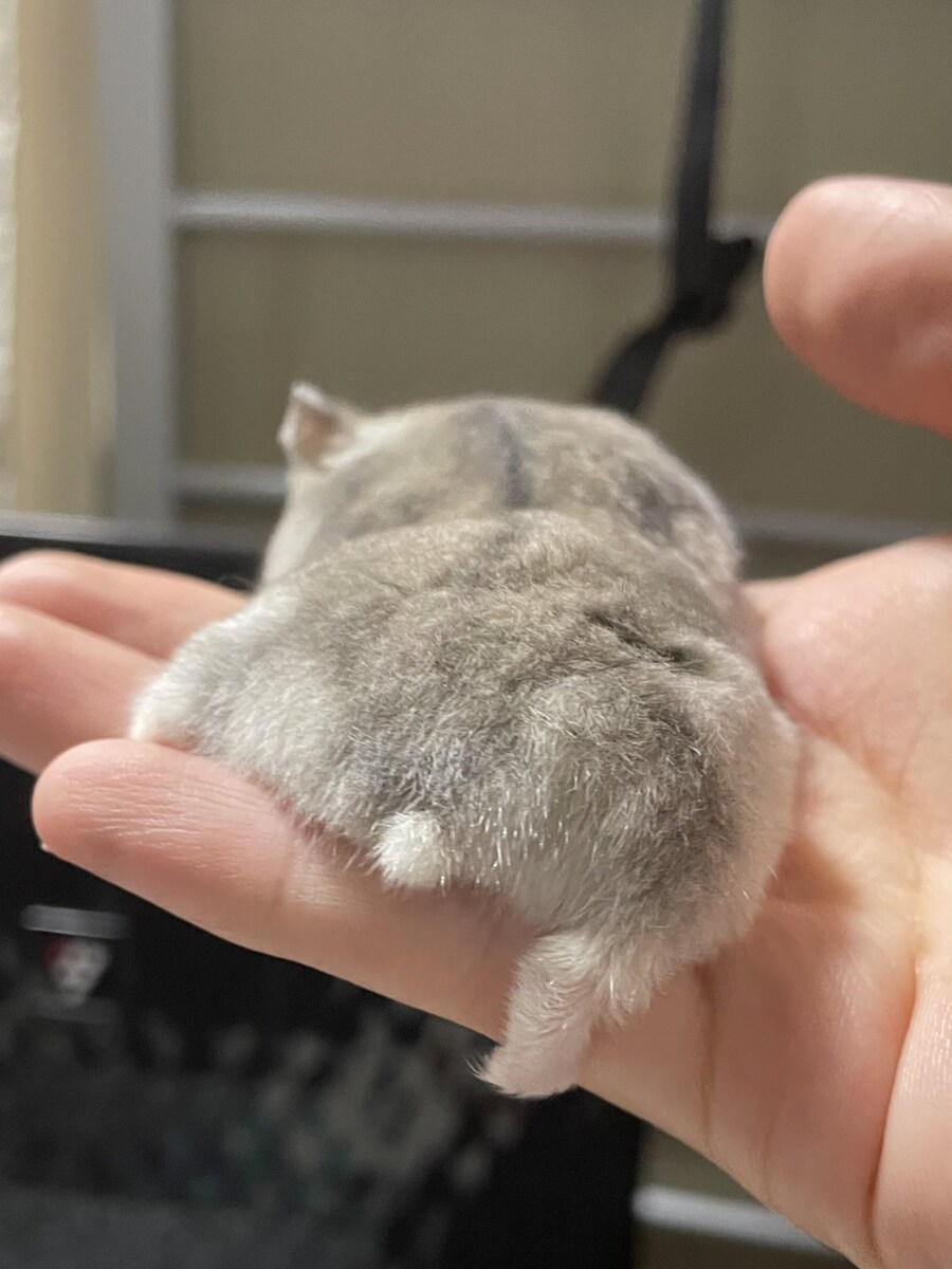 오늘 득템한 엉덩이짤.jpg_3.jpg