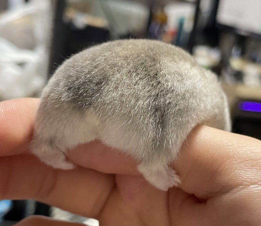 오늘 득템한 엉덩이짤.jpg_4.jpg