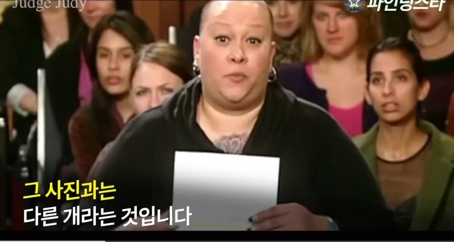 강아지 소유권 분쟁으로 미국 법정 리얼리티쇼에 출연한 사람들.GIF_12.jpg