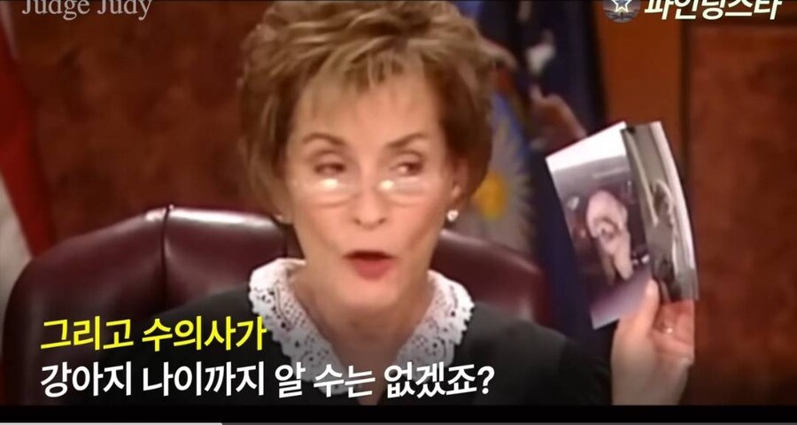 강아지 소유권 분쟁으로 미국 법정 리얼리티쇼에 출연한 사람들.GIF_14.jpg