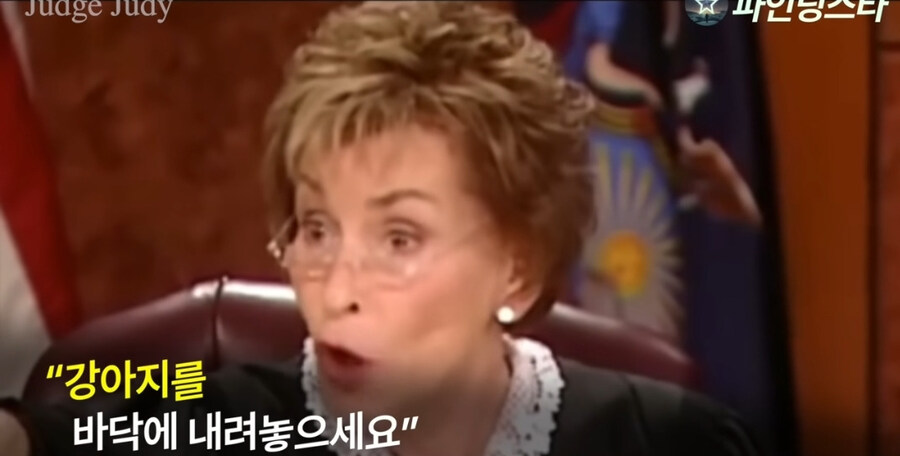강아지 소유권 분쟁으로 미국 법정 리얼리티쇼에 출연한 사람들.GIF_18.jpg