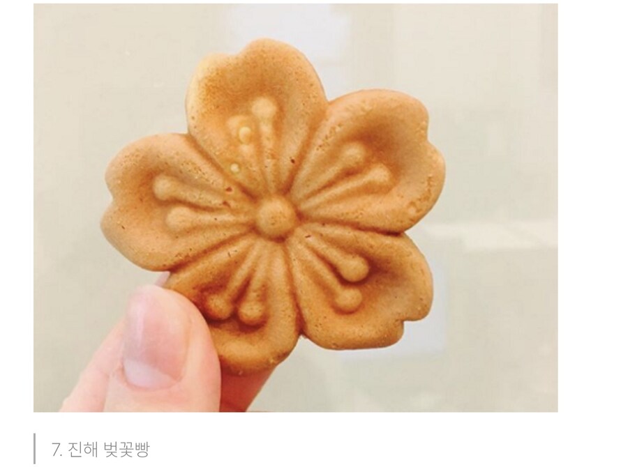 지역마다 풀빵집 하나쯤은 다 있음