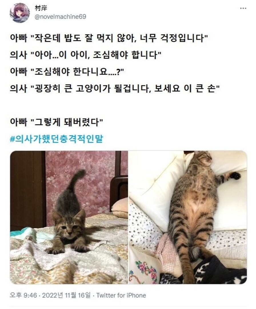 의사가 했던 충격적인 말.jpg_1.jpg