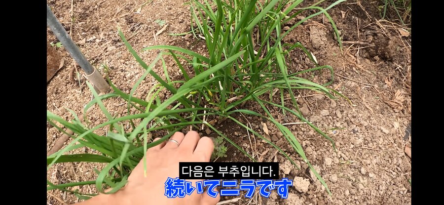 돌솥비빔밥 만드는 일본인.youtube_10.png