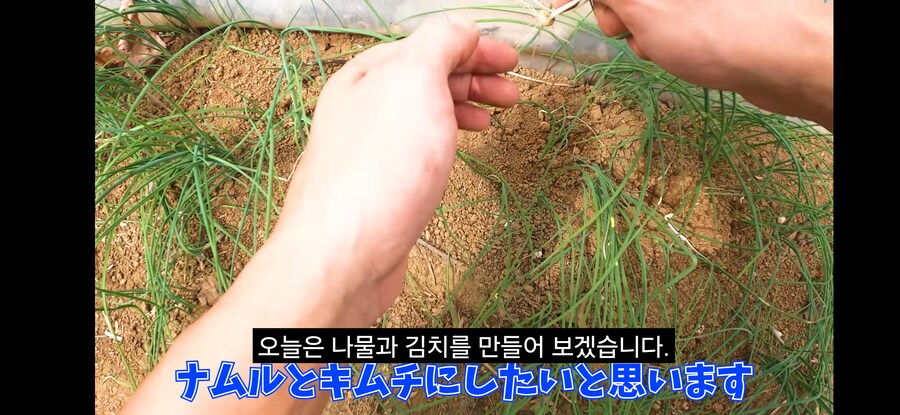 돌솥비빔밥 만드는 일본인.youtube_12.png